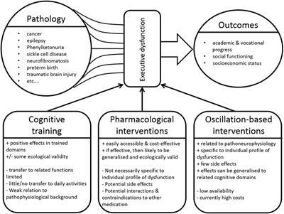 Executive Function Deficits in Seriously Ill Children—Emerging Challenges and Possibilities for Clinical Care